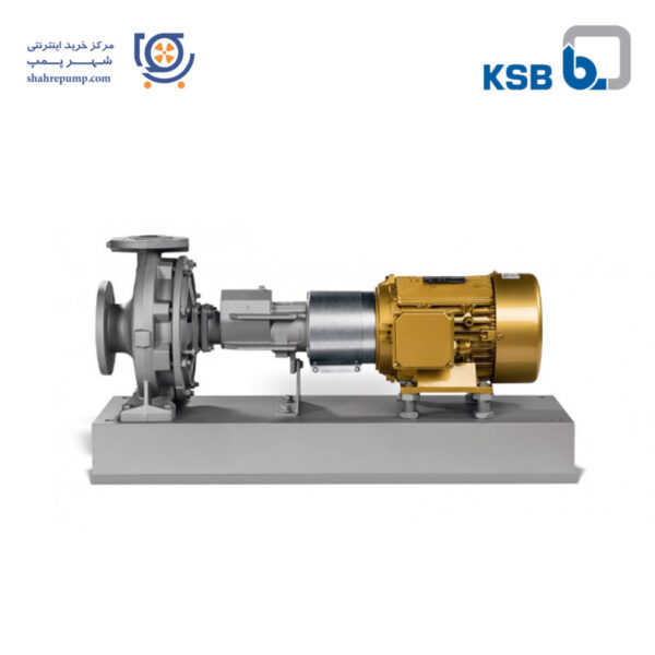 پمپ روغن داغ KSB سری ETANORM-RSY