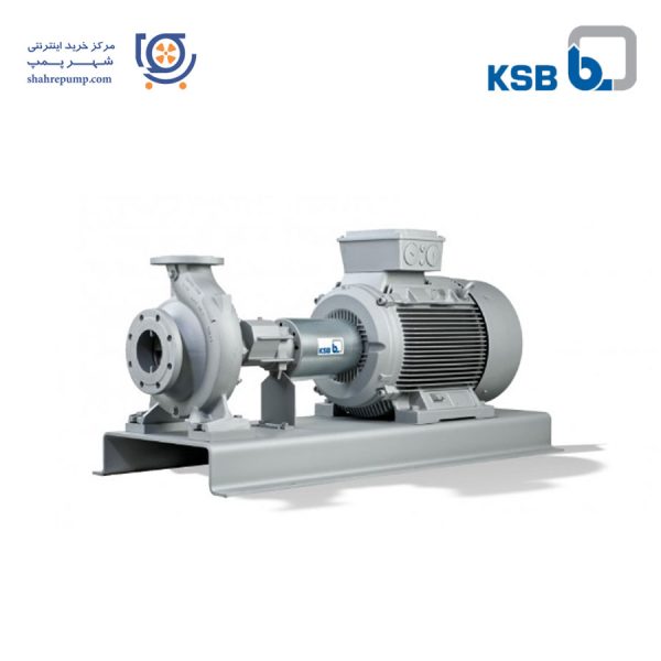 پمپ روغن داغ KSB سری ETANORM SYT