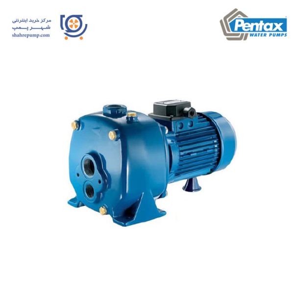پمپ آب خانگی پنتاکس سری AP